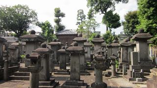 石塔が立ち並ぶ大名墓地群があります