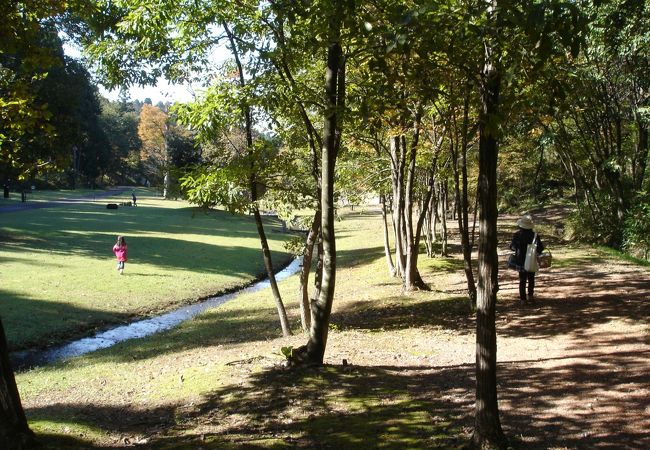 アーティストたちの拠り所、美術館に続くアートの香りがする林間公園です