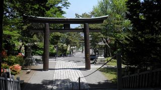 高台の神様の下で森林浴