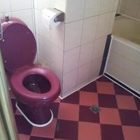 バスマットがないから、この床がビシャビシャになる。