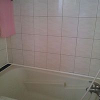 浴槽は大きくありません。