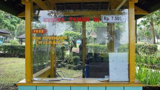 ミニトレインは無料でした。