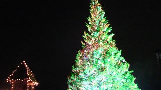 港で大きなツリーと花火