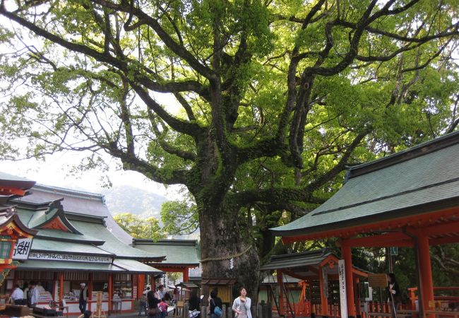 熊野那智大社