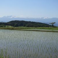 雫石環状線から秋田駒ヶ岳から乳頭山付近までの遠景です