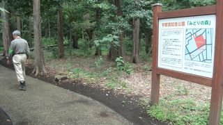 ちょっとした森林浴に・・