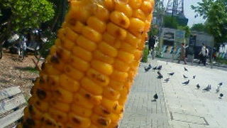 公園でとうきびを食べる！