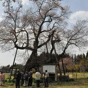 ゴールデンウイーク向け景勝地