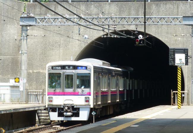 東京都立小山内裏公園の最寄り駅です