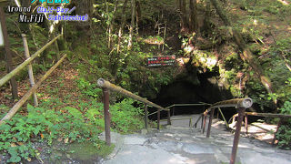 たまにはこんな穴も入ってみて！