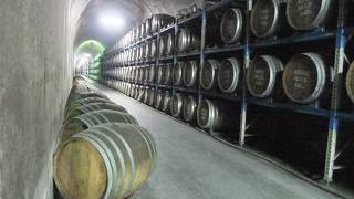 鉄道車両が展示されています