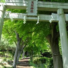 浅間神社の鳥居