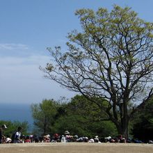 小学生の遠足