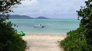 川平公園の近く