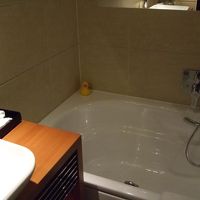 アヒルも居ます