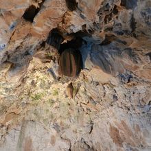 「あけびの実」という名のツララ石