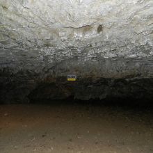 終点近くにある「サンゴ天井」