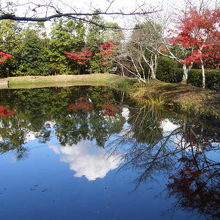 放生池の紅葉