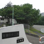 自然豊かな住宅街の公園