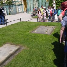 小学生たちとお墓