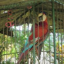 グアム動植物園＆海洋生物園