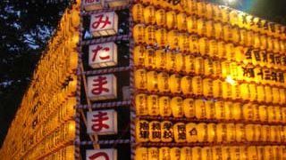 ７月の新暦の盆に行われます