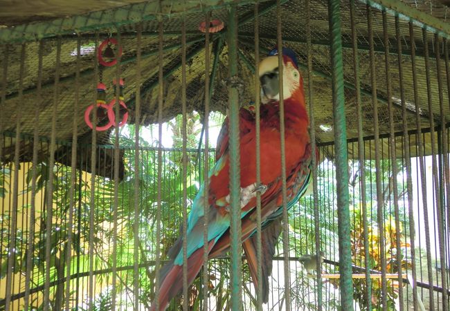 グアム動植物園＆海洋生物園