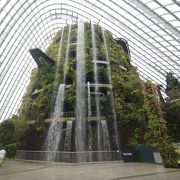 植物園と巨大な滝の２つのドーム