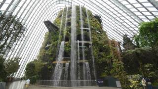 植物園と巨大な滝の２つのドーム