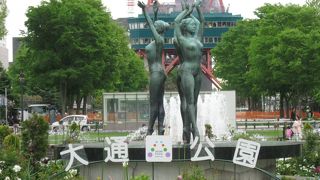 象だけで十分なのに