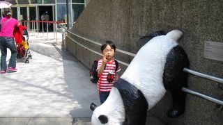 孫と２人旅（動物園）