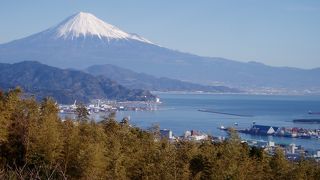 世界遺産の富士を眺めるなら