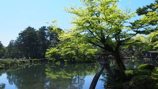 兼六園の中で誰もが写真を撮る、1番有名な景観