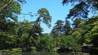 兼六園の、真弓坂入り口から1番近い池