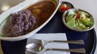 辛くておいしい古代米カレー