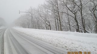 羅臼とウトロを結ぶ道路