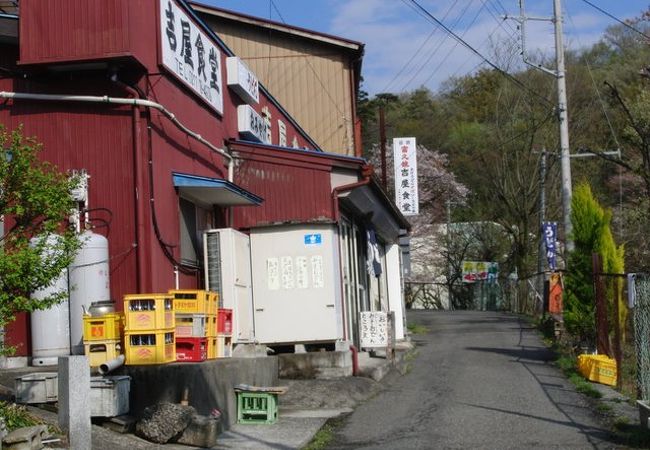 スネークセンター横の昔ながらの食堂