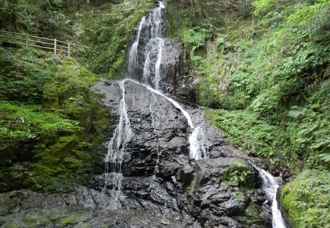 文字通り“白糸を垂らしたような”繊細な滝です