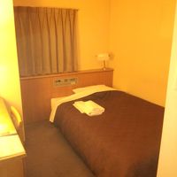 やや古い客室ですが清潔でした。鞄等を置くスペースが欲しい。