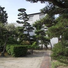 綺麗に手入れされた境内の一部