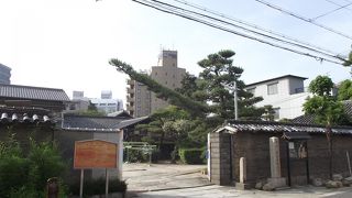 堺の豪商が建てたお寺です