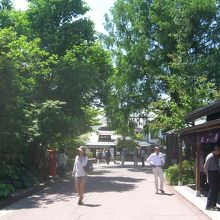 駐車場の廻りです〜