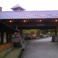 木がふんだんに使われている建物です。