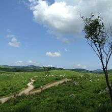 ゴミもなく最高にきれいです！