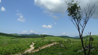 素晴らしい風景でした