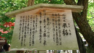 さだまさしさん