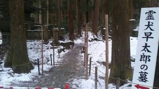 霊犬が眠るお寺。