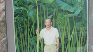 松山千春とラワンブキのふるさと