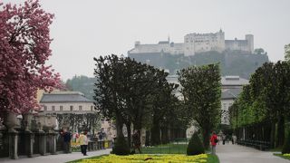 庭園だけでしたが、やはりここは外せない場所