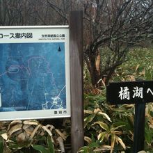 橘湖への道※クマ注意